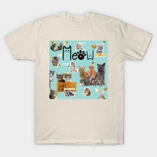 Meow Cats and Kittens T-Shirt